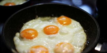 毒鸡蛋 丑闻致欧洲蛋业遭重创 寻求欧盟给予补偿
